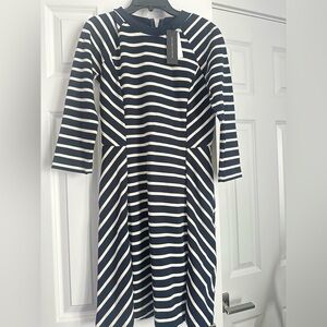 NWT Banana Republic Navy and White Striped Dress